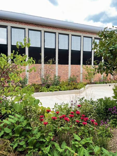 Springfield University Hospital