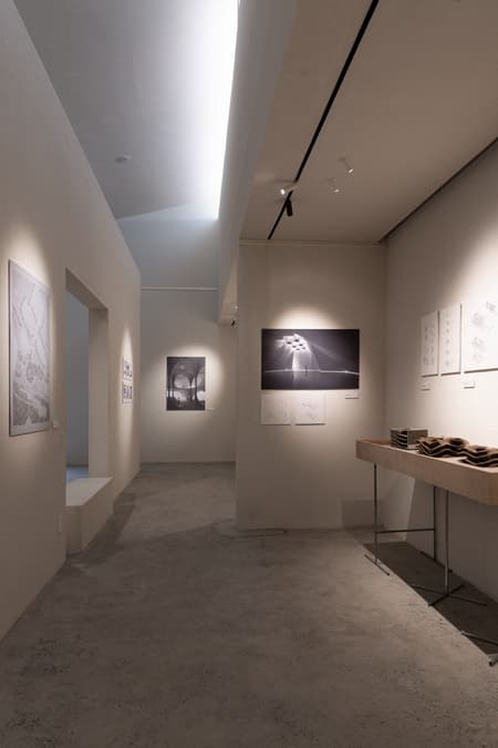 TAA Gallery