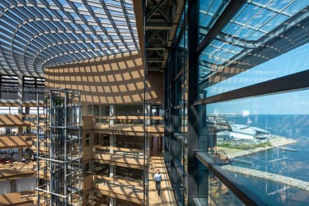 Ferring Pharmaceuticals