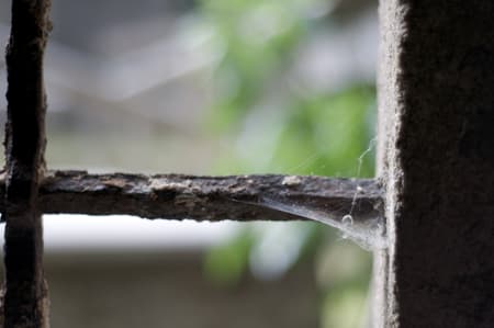 Castle Ruin Reichenau