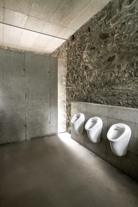 Castle Ruin Reichenau