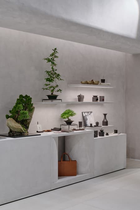 AK Plaza Museum C