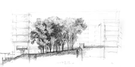 Liyuan Foreign Language Primary School