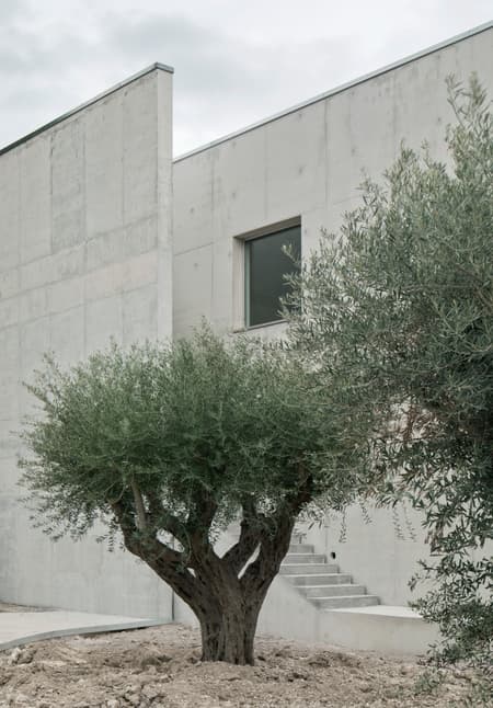 Sport Facilities inside a Squash Court
