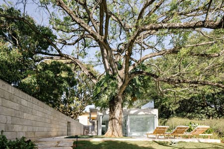 Bosque House