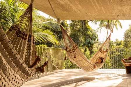 Canopy House