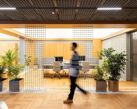 M Sora Offices - Vore