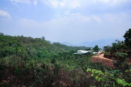 Flying Tops Arenas