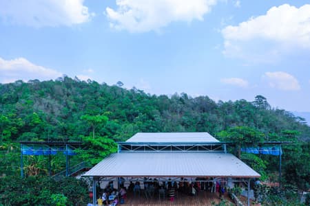 Flying Tops Arenas