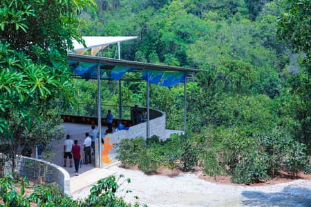 Flying Tops Arenas