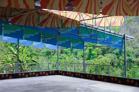 Flying Tops Arenas