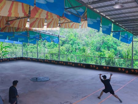 Flying Tops Arenas