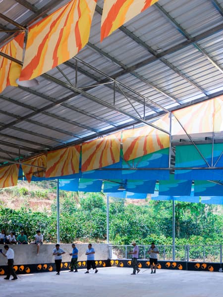 Flying Tops Arenas