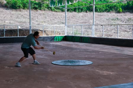 Flying Tops Arenas